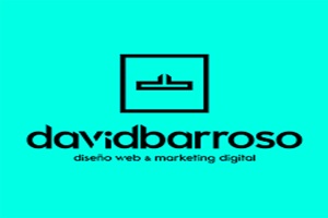 David Barroso diseño web y marketing digital