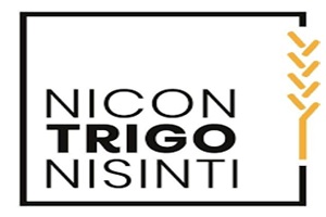 Nicontrigonisinti