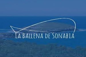 La Ballena de Sonabia
