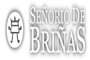 Señorío de Briñas
